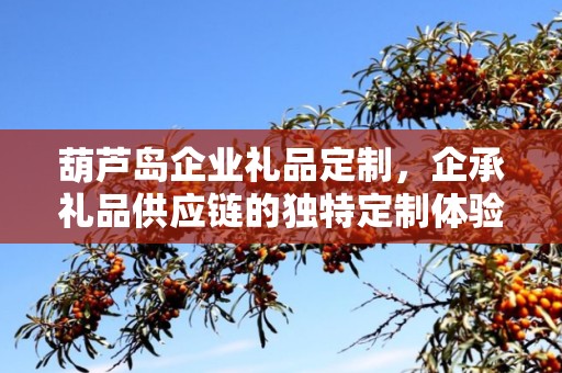 葫芦岛企业礼品定制，企承礼品供应链的独特定制体验