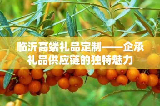 临沂高端礼品定制——企承礼品供应链的独特魅力