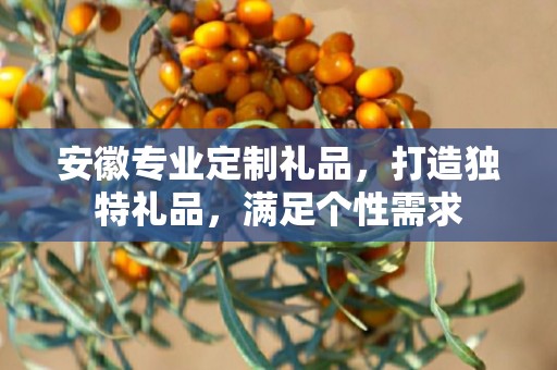 安徽专业定制礼品，打造独特礼品，满足个性需求