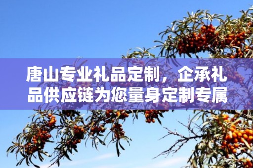 唐山专业礼品定制，企承礼品供应链为您量身定制专属礼品
