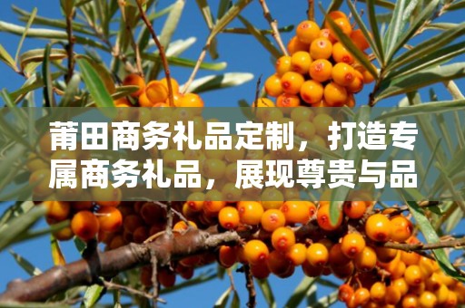 莆田商务礼品定制，打造专属商务礼品，展现尊贵与品味