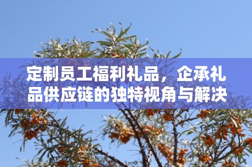 商务定制礼品公司，企承礼品供应链的独特优势与服务体验